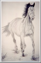 Le cheval...