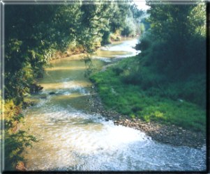 La petite rivire vue depuis le pont de Larra...