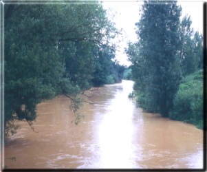 Au mme endroit, la Save se gonfle suite aux fortes pluies...